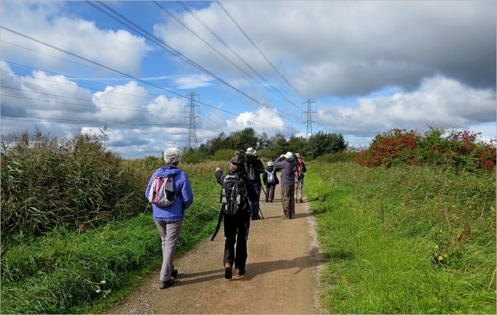 Group of u3a bird watches at Newport Wetlands