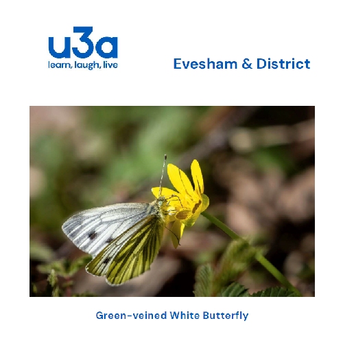 Newsletter cover