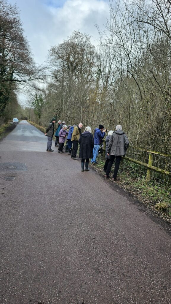 group of birdwatchers looking over a fence into trees